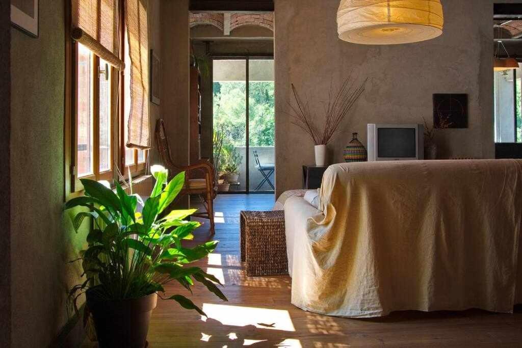 Sleep & Stay Artistico Loft Sant Daniel Girona Bagian luar foto